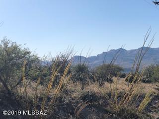 1713 Ruta Caravela, Unit 51 Rio Rico, AZ 85648 - Photo 3 of 6