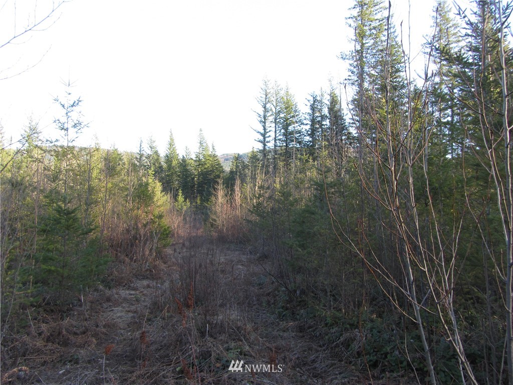 9122 Heady Road Maple Falls, WA 98266 - Photo 1 of 5