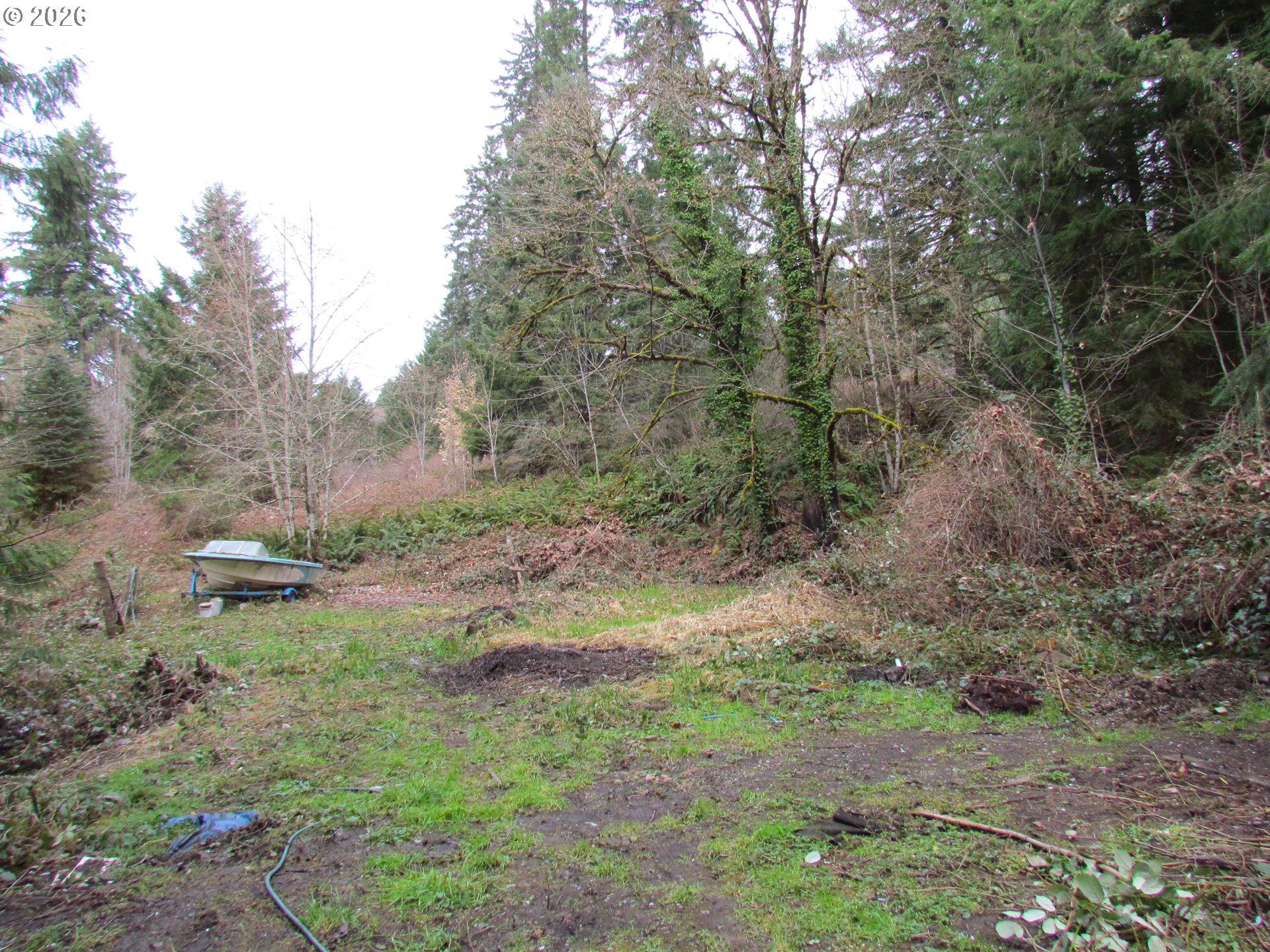 31191 New Kirk Road Scappoose, OR 97056 - Photo 5 of 10 a view of a forest with trees in the background