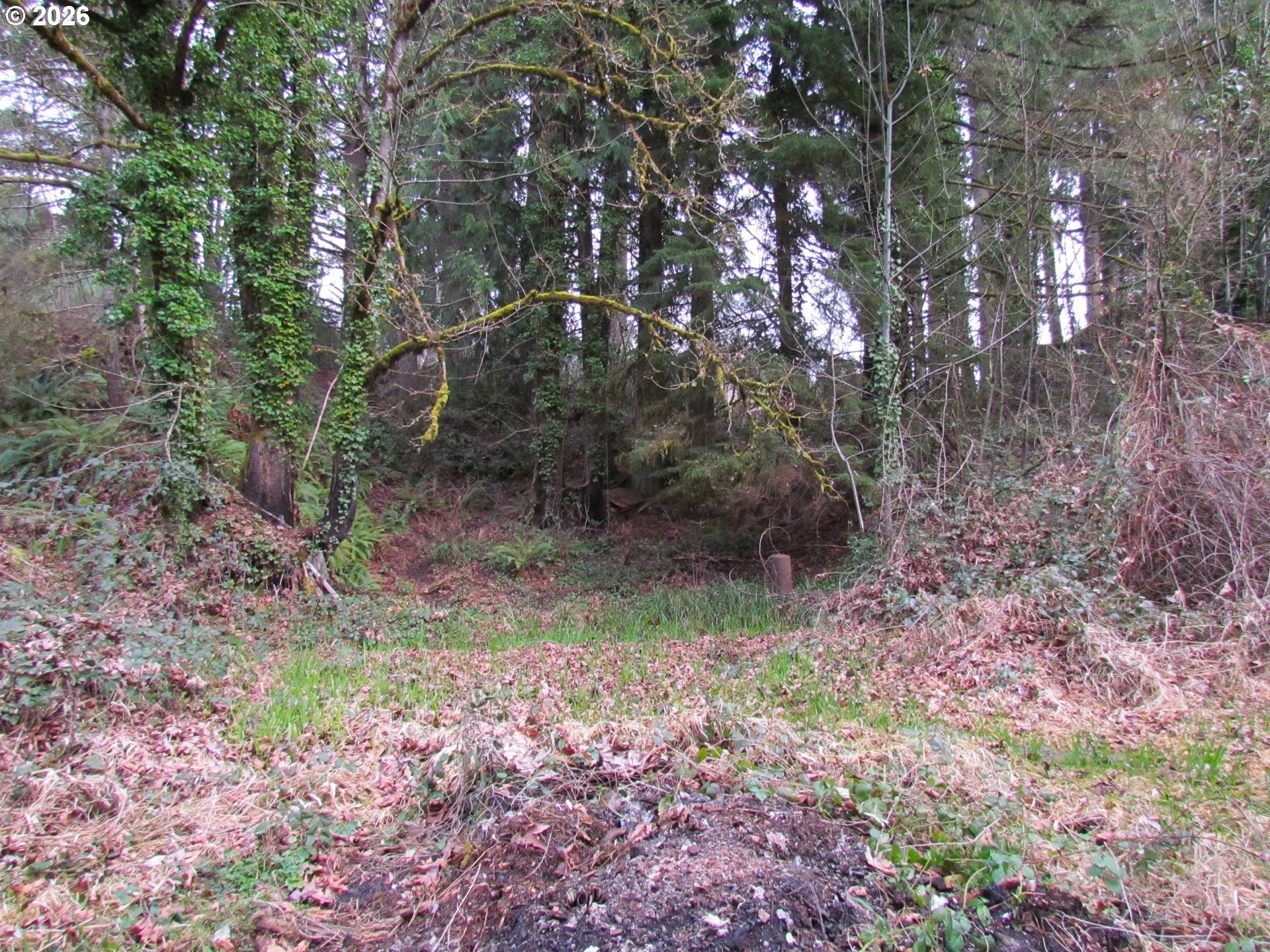 31191 New Kirk Road Scappoose, OR 97056 - Photo 6 of 10 a view of a yard