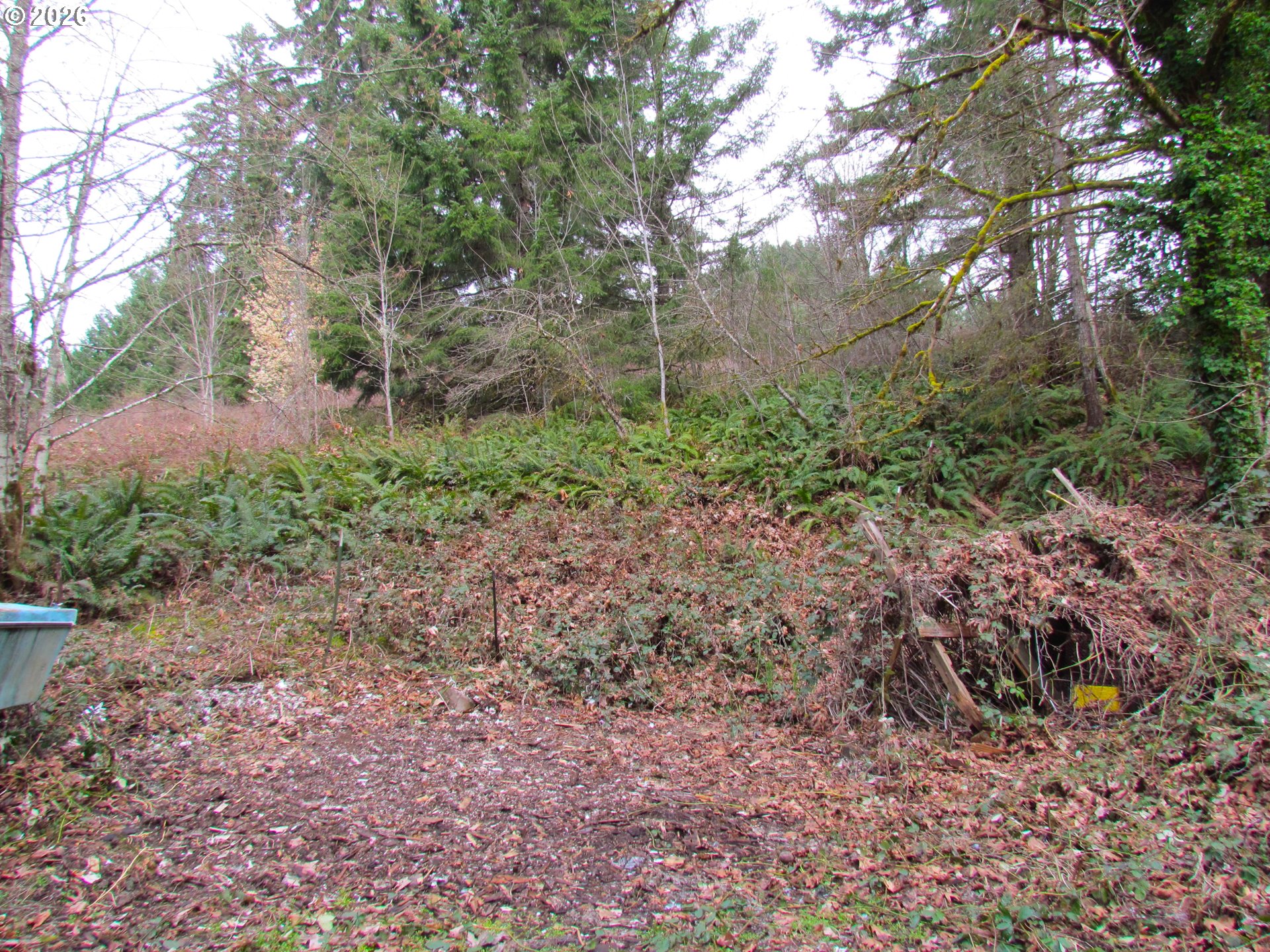 31191 New Kirk Road Scappoose, OR 97056 - Photo 7 of 10 a view of a yard with plants and large trees