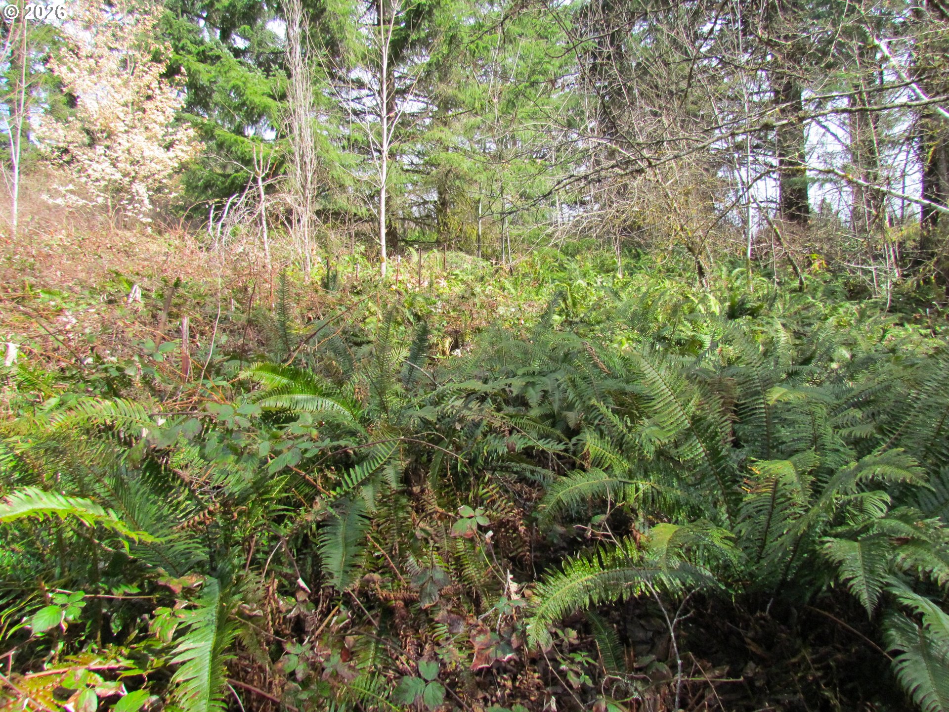 31191 New Kirk Road Scappoose, OR 97056 - Photo 9 of 10 a view of a garden