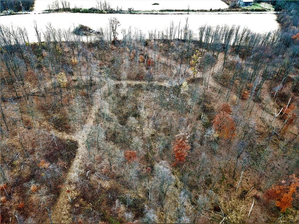 Lot 3 Ridge Road Apollo, PA 15613 - Photo 4 of 5 a view of a dry yard with a large tree and wooden fence