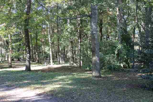 Lot 2 Berkeley Court Murrells Inlet, SC 29576 - Photo 1 of 1
