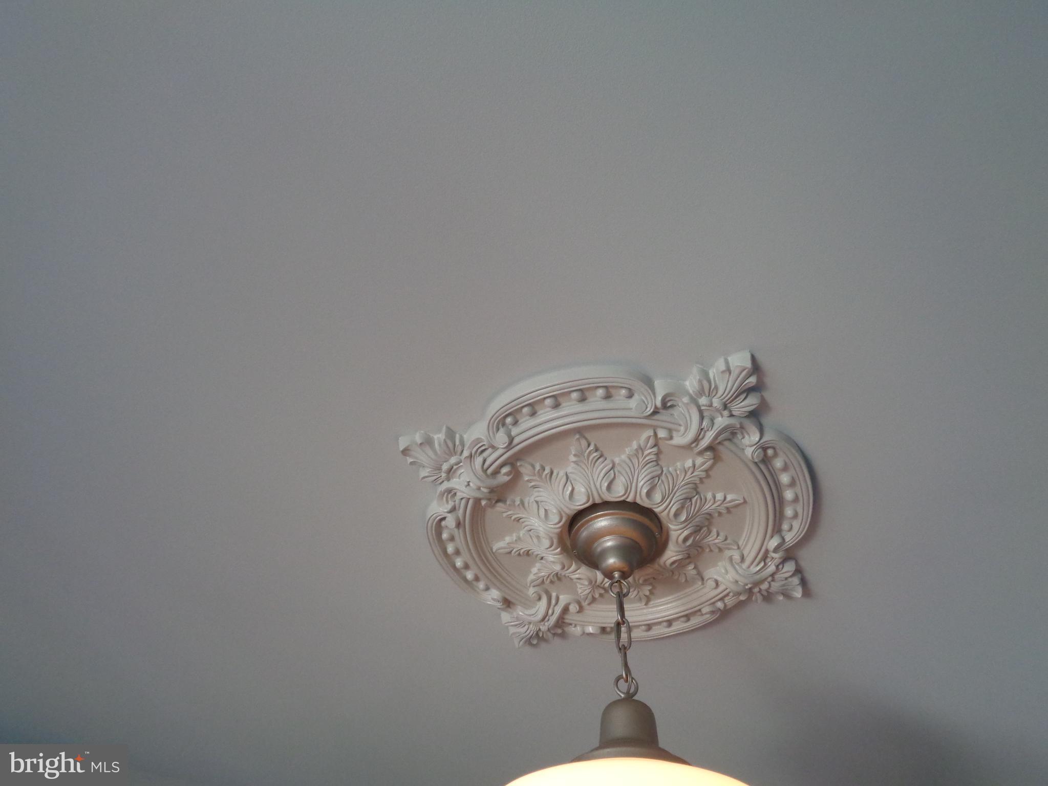 4024 Falls Road Baltimore, MD 21211 - Photo 19 of 68 Ceiling Medallion in Dining Room