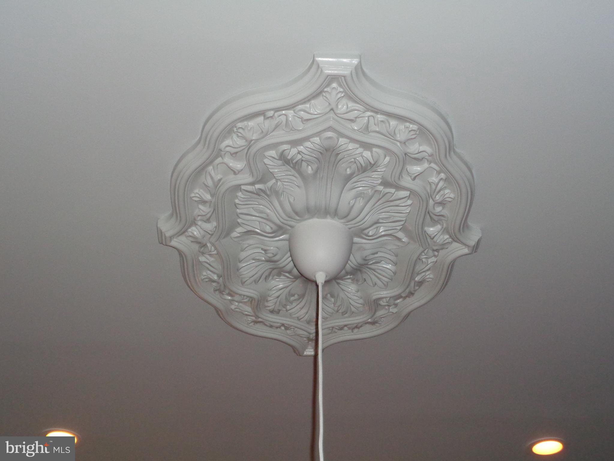 4024 Falls Road Baltimore, MD 21211 - Photo 26 of 68 Ceiling Medallion