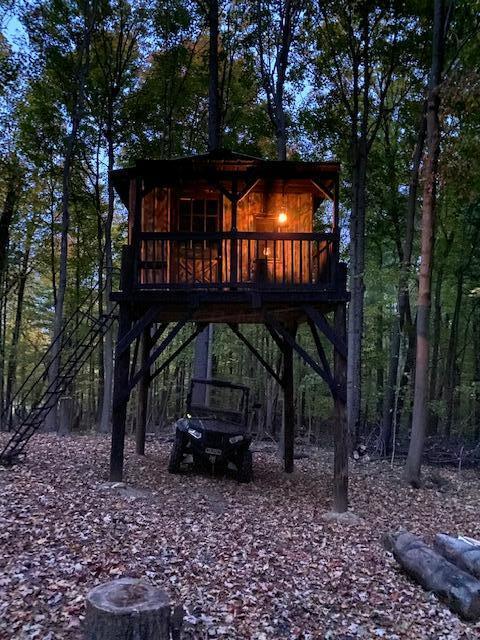 3515 Riley Road Northeast Newark, OH 43055 - Photo 19 of 19 Rileytreehouse2