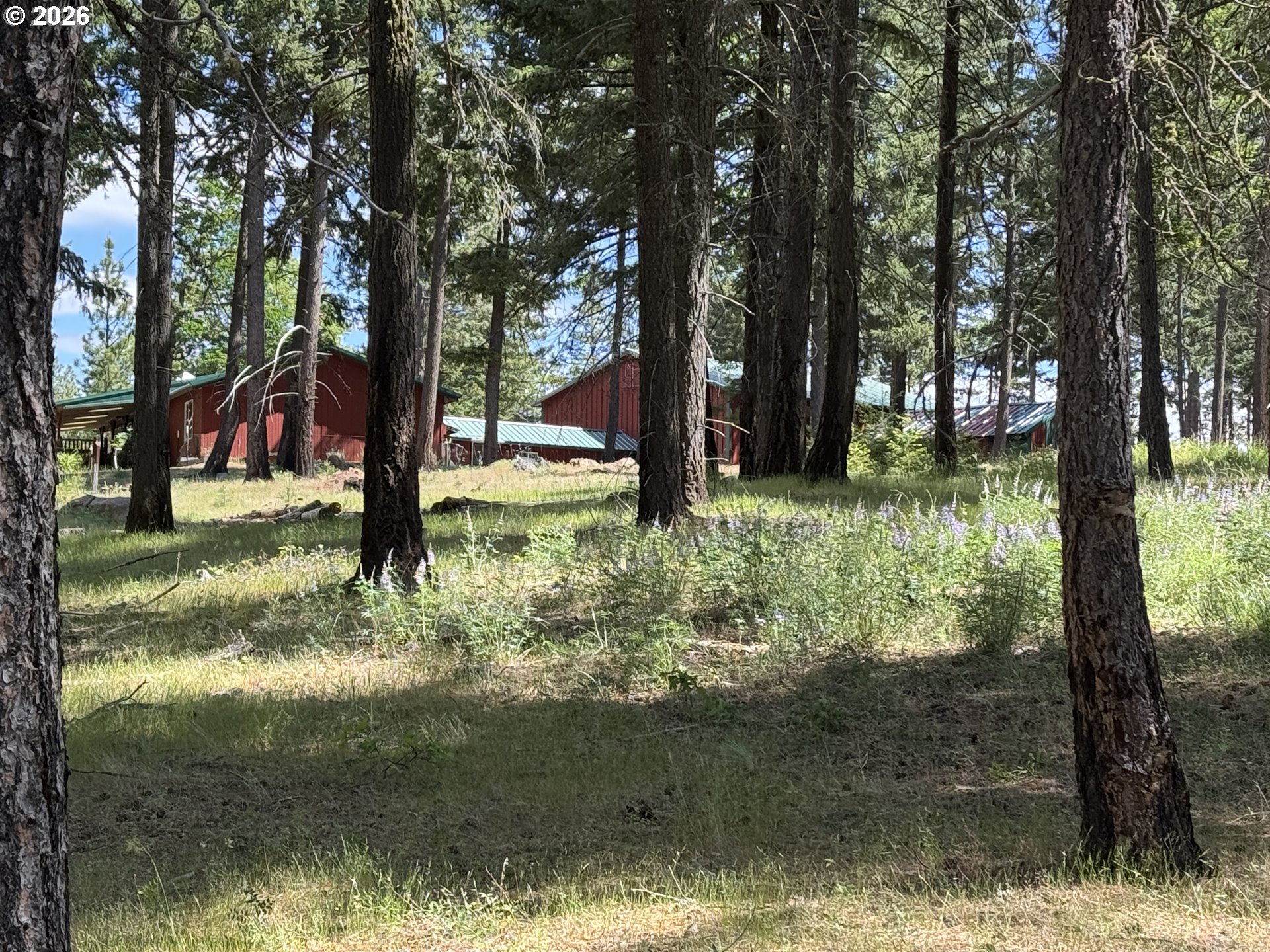 562 England Road Goldendale, WA 98620 - Photo 12 of 46