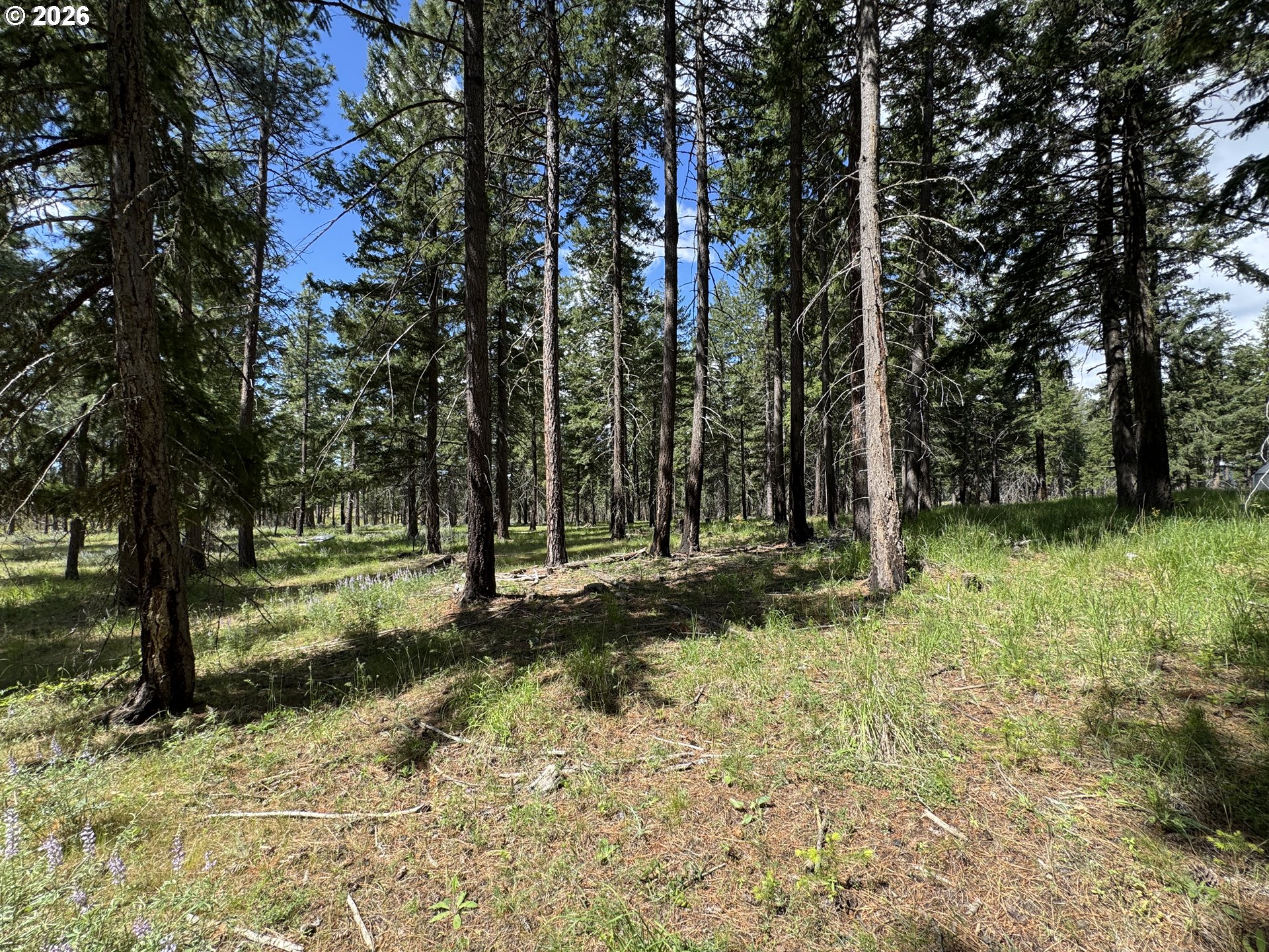 562 England Road Goldendale, WA 98620 - Photo 14 of 46