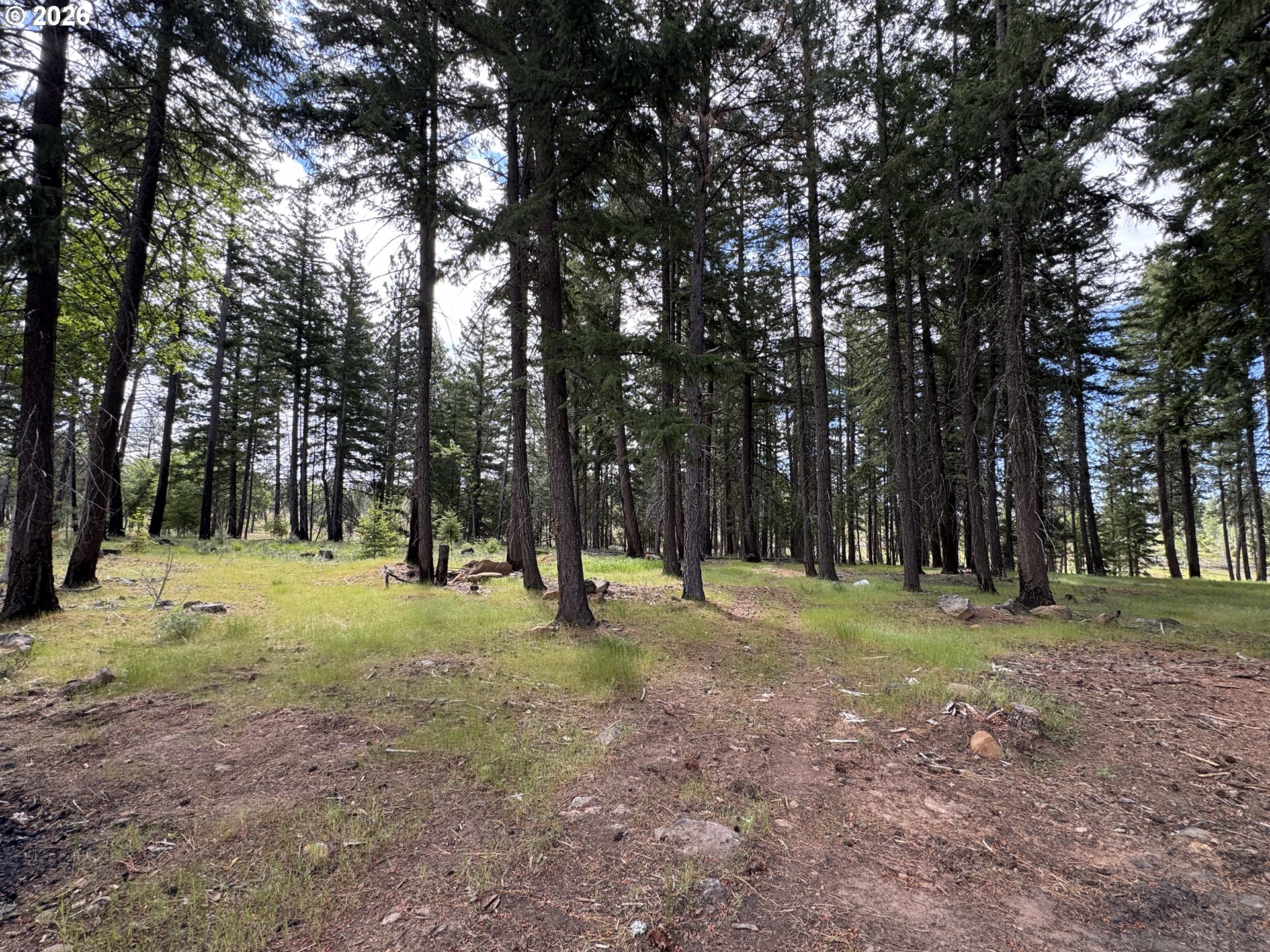 562 England Road Goldendale, WA 98620 - Photo 2 of 46