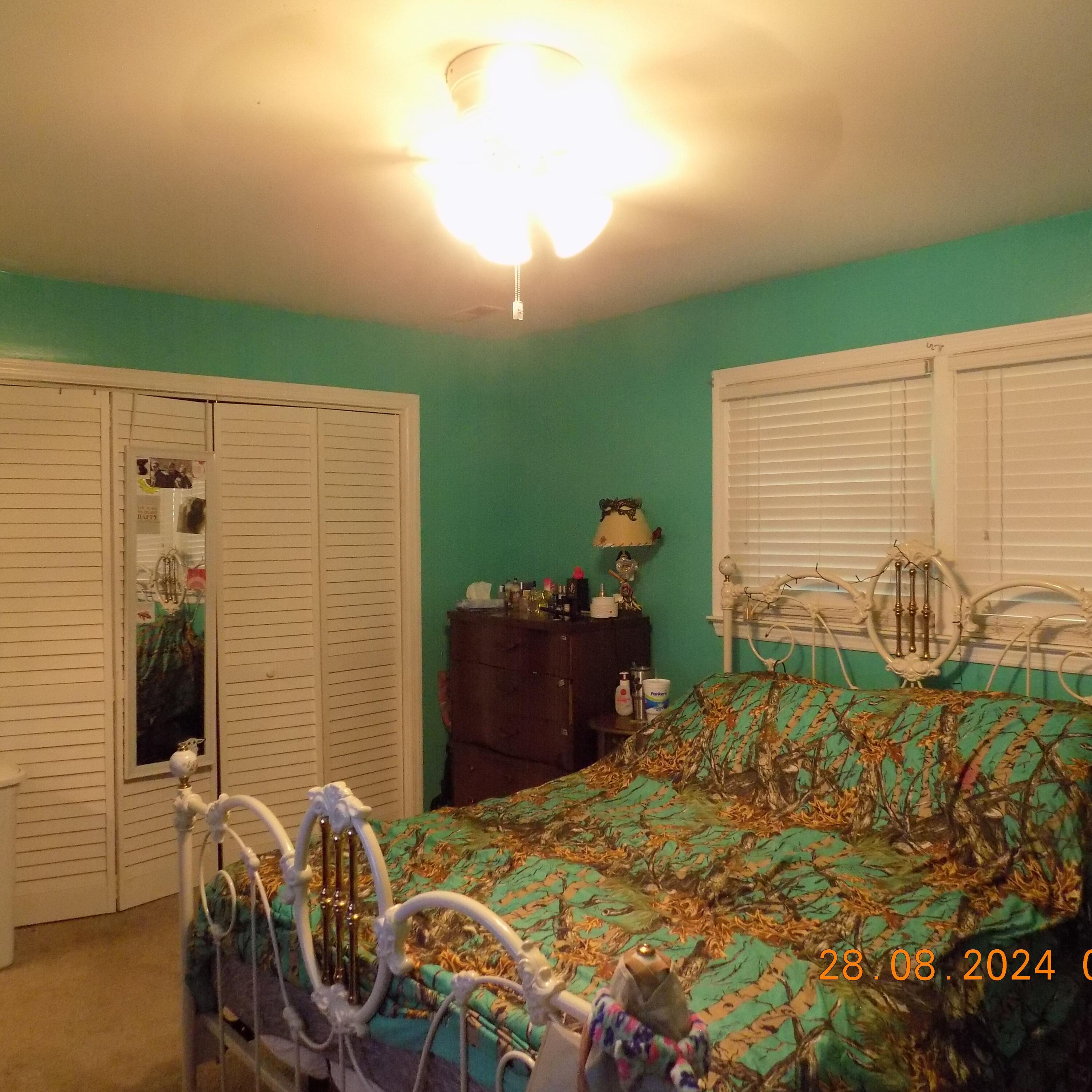 301 Lynnwood Road Walterboro, SC 29488 - Photo 21 of 32 DSCN2228