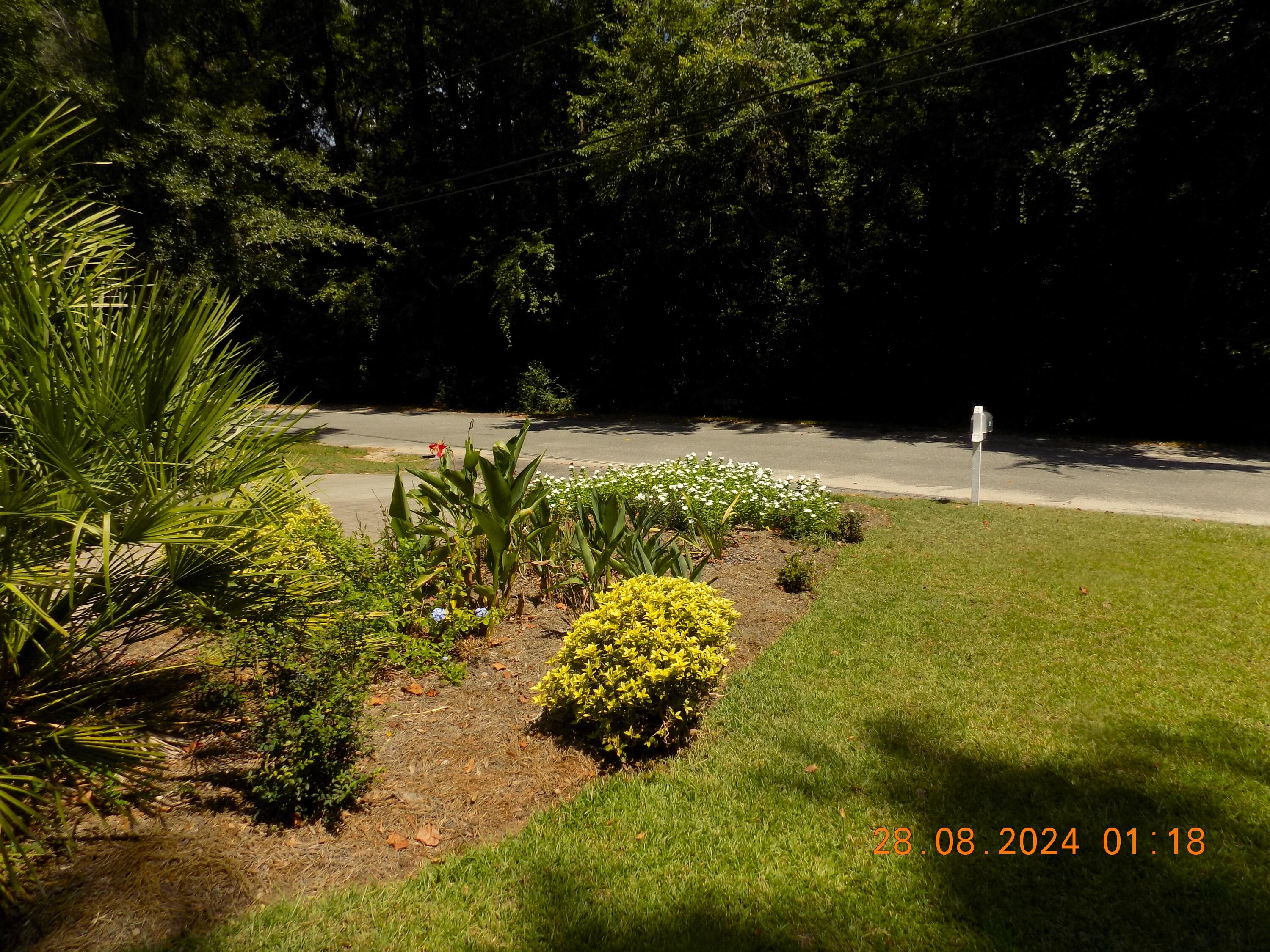 301 Lynnwood Road Walterboro, SC 29488 - Photo 6 of 32 DSCN2131