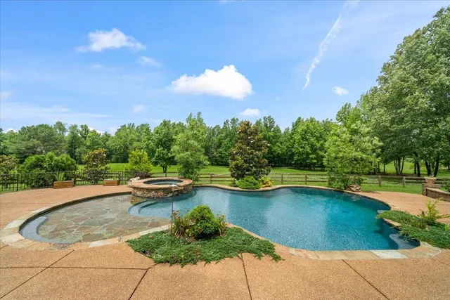 a view of swimming pool with outdoor seating and plants