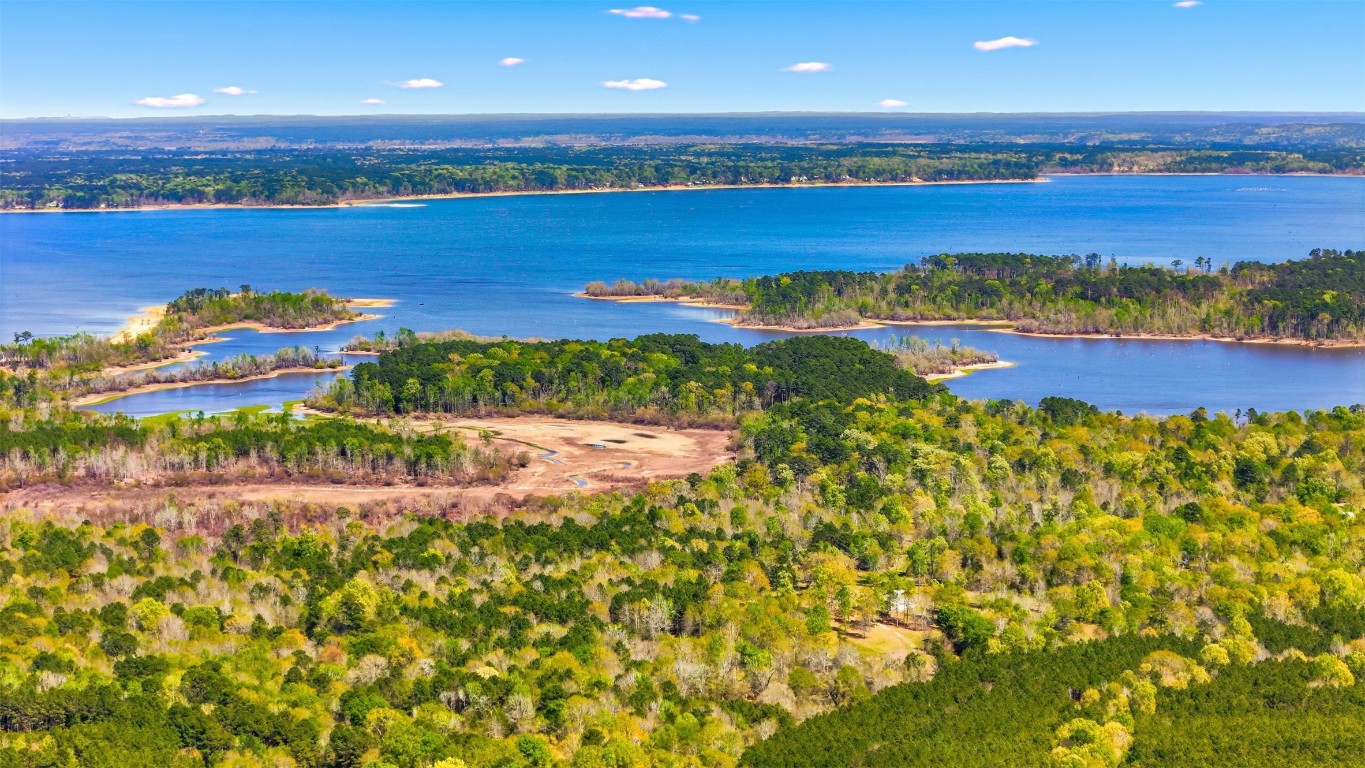 220 Rustic Lane Huntington, TX 75949 - Photo 6 of 17 Sam Rayburn view