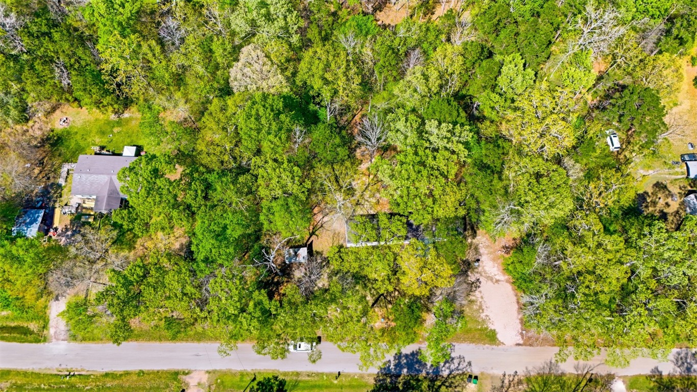 220 Rustic Lane Huntington, TX 75949 - Photo 7 of 17 Birdseye