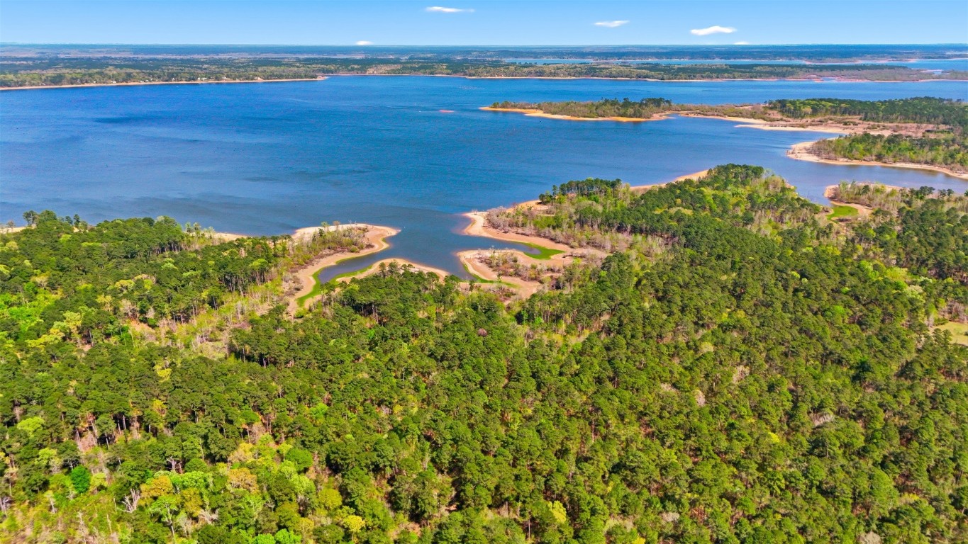 220 Rustic Lane Huntington, TX 75949 - Photo 9 of 17 Sam Rayburn Lake view