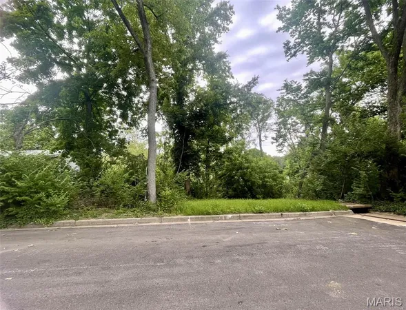 $29,000 | 1048 Diversey Drive, St. Louis, MO 63126