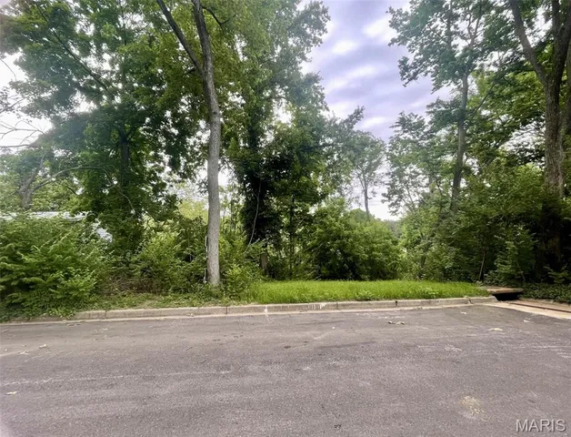 $29,000 | 1048 Diversey Drive, St. Louis, MO 63126