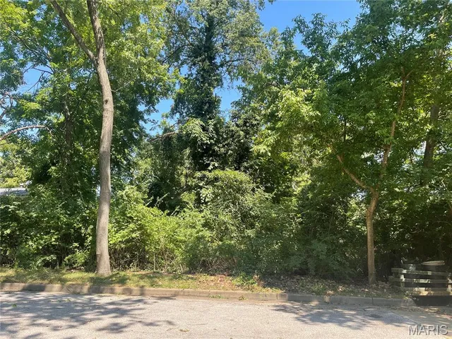 $29,000 | 1048 Diversey Drive, St. Louis, MO 63126