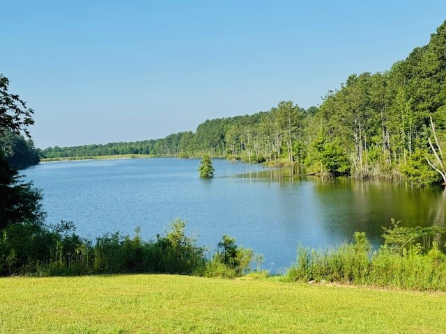 96 Lake Walthall Road Tylertown, MS 39667 - Photo 13 of 17 Photo 13