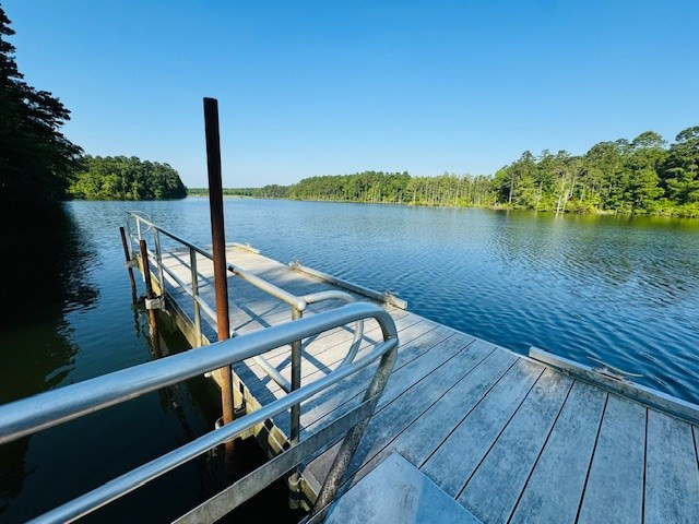 96 Lake Walthall Road Tylertown, MS 39667 - Photo 16 of 17 Photo 16