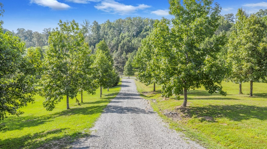420 No Pone Valley Road Northwest Georgetown, TN 37336 - Photo 54 of 56 a view of a yard with plants and trees