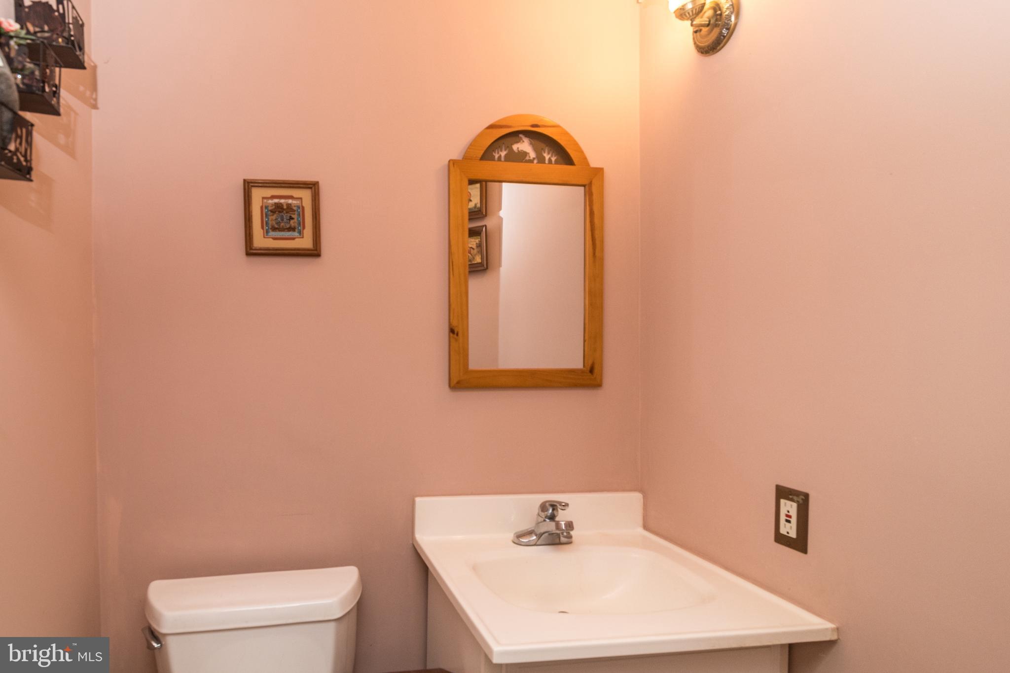 519 Redwing Road Perkasie, PA 18944 - Photo 16 of 35 1st floor Powder Room