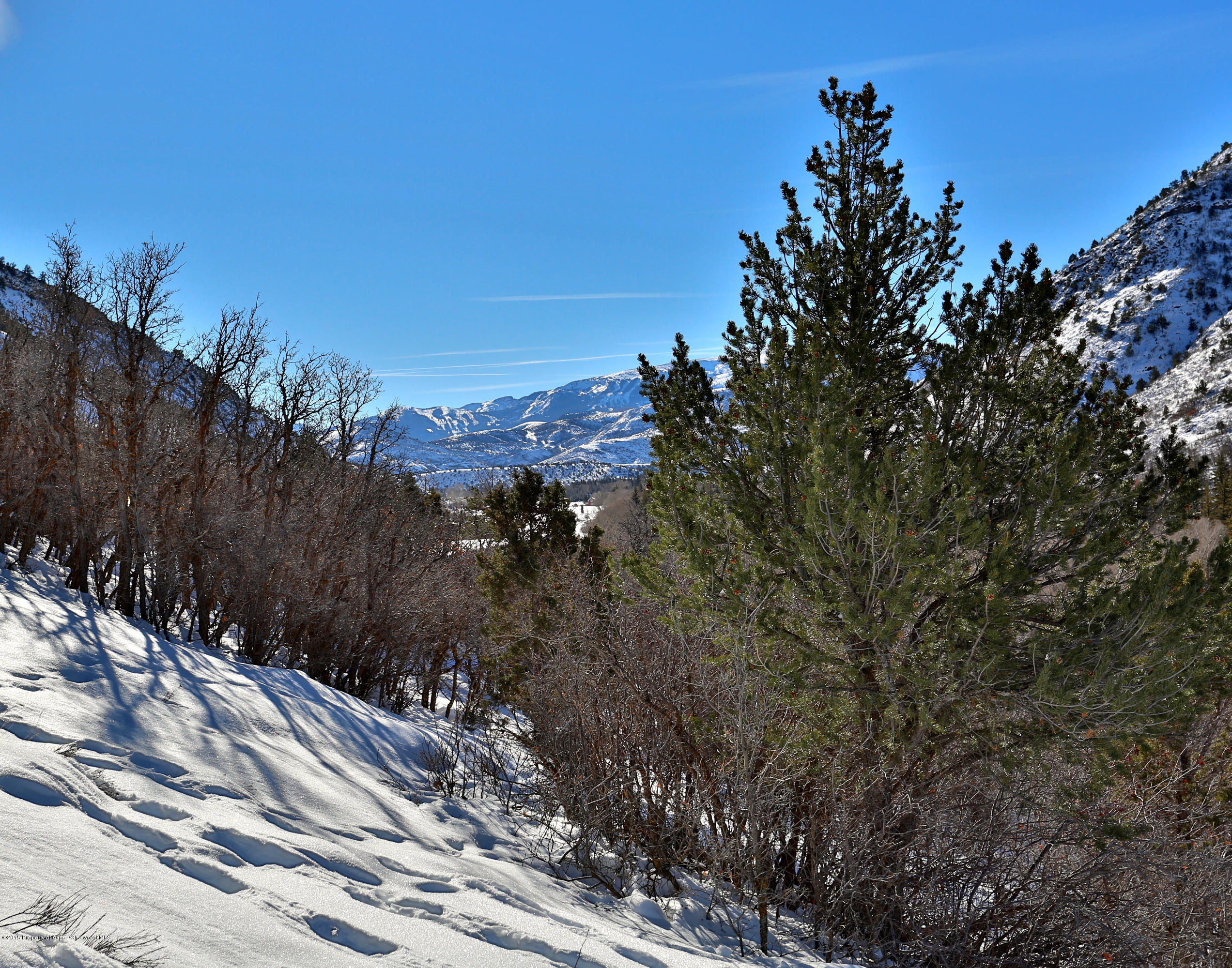 352 Snowmass Creek Road Snowmass, CO 81654 - Photo 12 of 18 View facing South