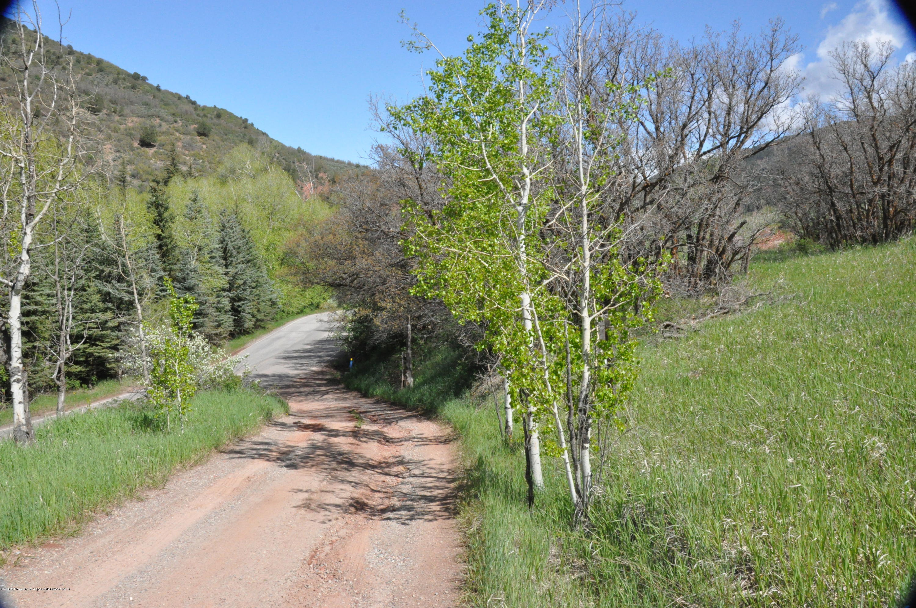 352 Snowmass Creek Road Snowmass, CO 81654 - Photo 9 of 18 DSC_0272