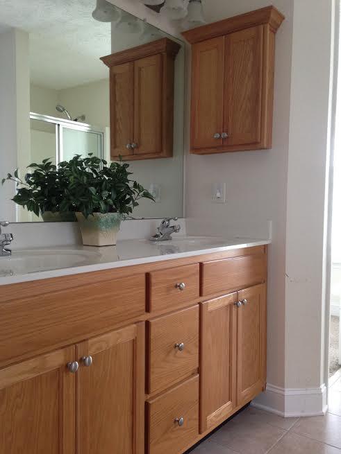 723 Chattanooga Valley Road Flintstone, GA 30725 - Photo 12 of 25 masterbath