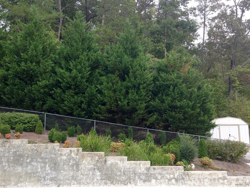 723 Chattanooga Valley Road Flintstone, GA 30725 - Photo 25 of 25 shedandlandscaping