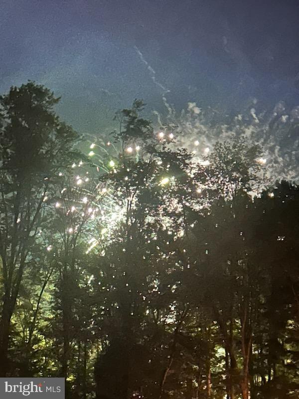 112 Beechwood Cove Road Greentown, PA 18426 - Photo 49 of 59 Fireworks illuminate the night sky.