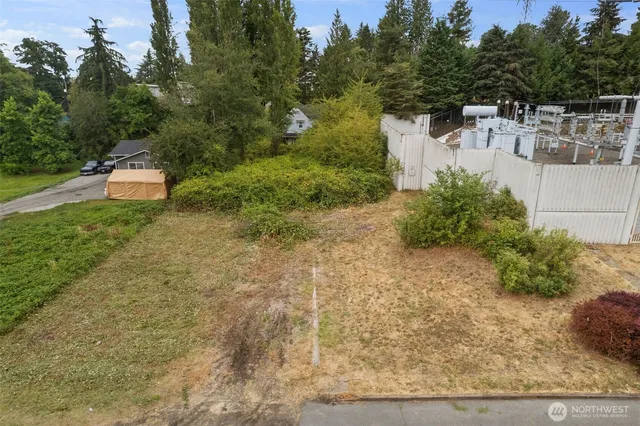 a view of a yard with large tree