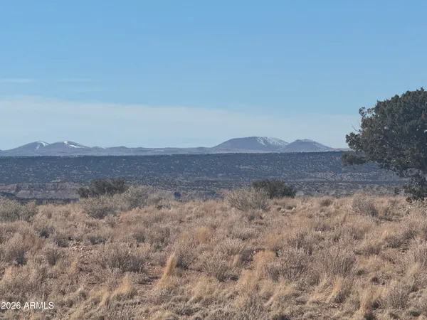 $35,000 | Lot 137 River Springs Ranch, Unit 137, St. Johns, AZ 85936