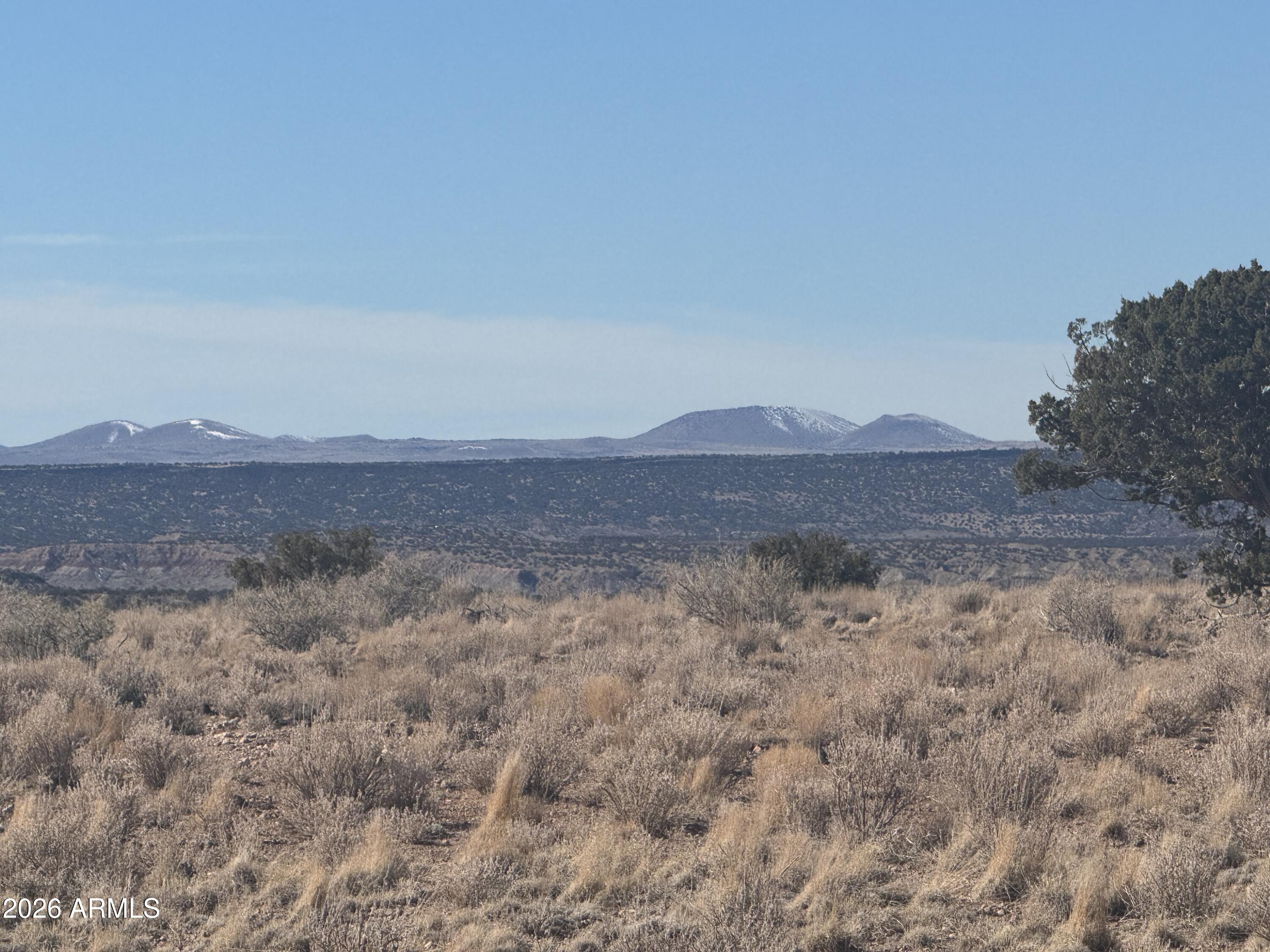Lot 137 River Springs Ranch, Unit 137 St. Johns, AZ 85936 - Photo 13 of 14 IMG_0469