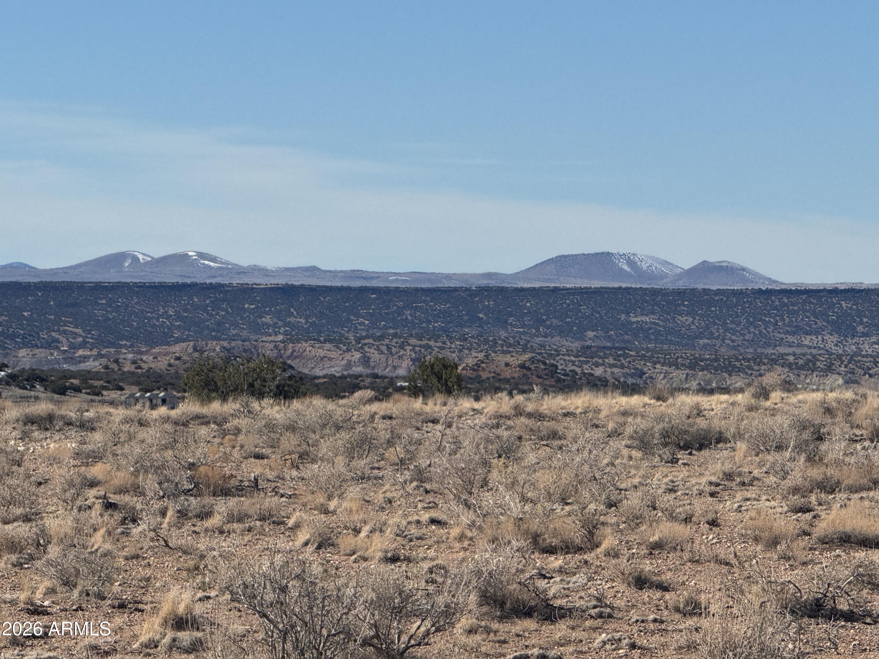 Lot 137 River Springs Ranch, Unit 137 St. Johns, AZ 85936 - Photo 4 of 14 IMG_0460