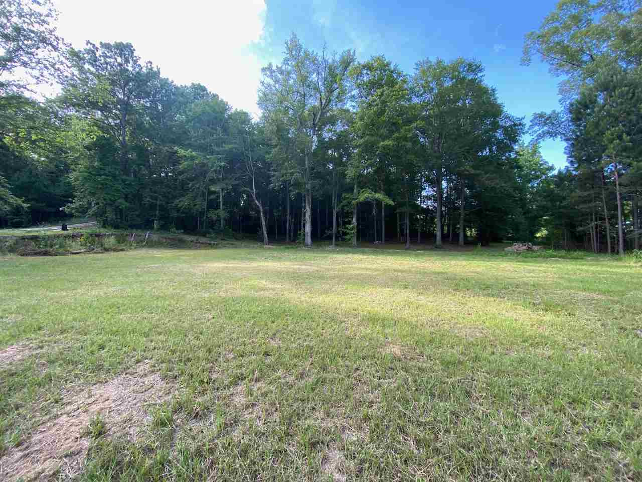 218 South County Line Road Florence, MS 39073 - Photo 1 of 1 Photo 1