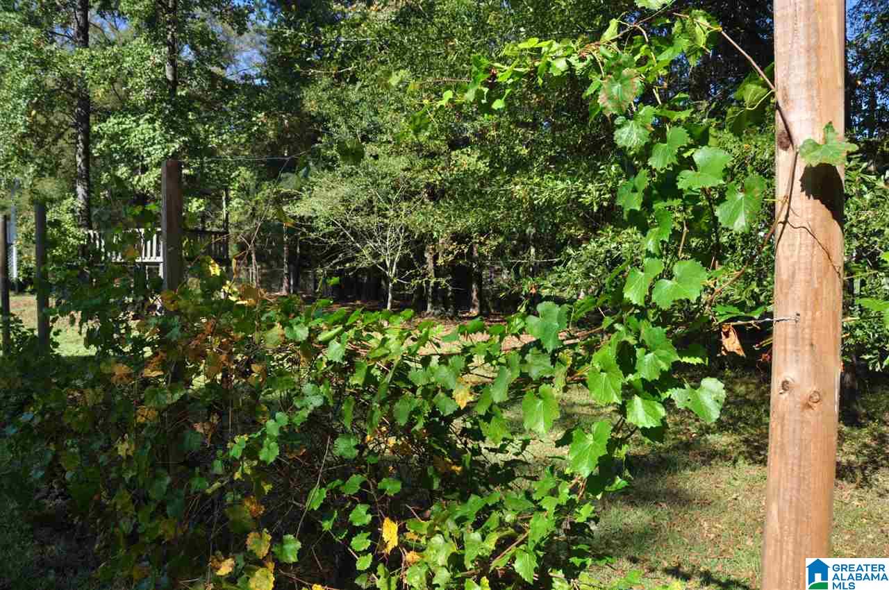 46 Overhill Road Montevallo, AL 35115 - Photo 24 of 37