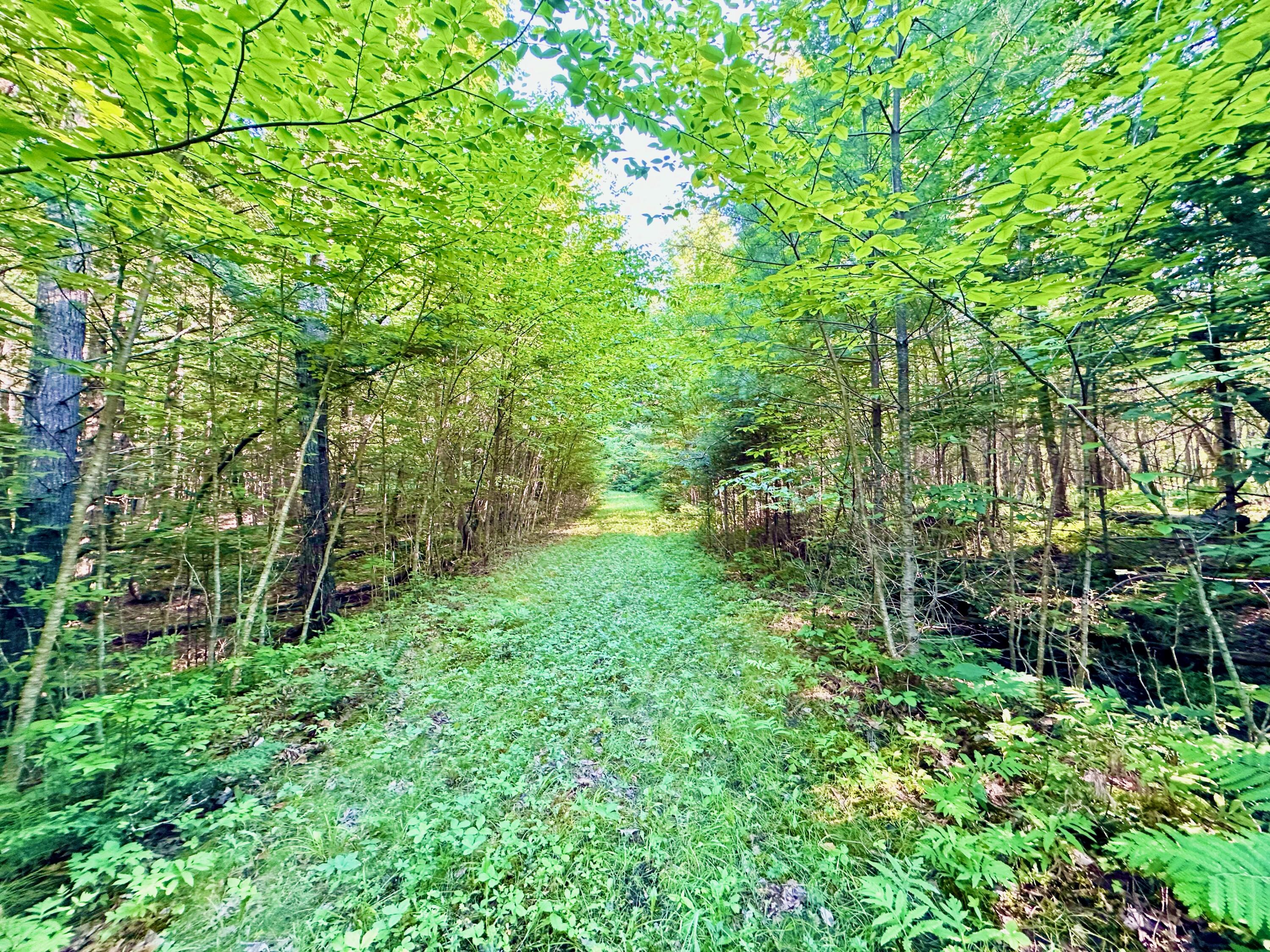 89 Poplar Point Road Mount Vernon, ME 04352 - Photo 24 of 113 DRIVEWAY