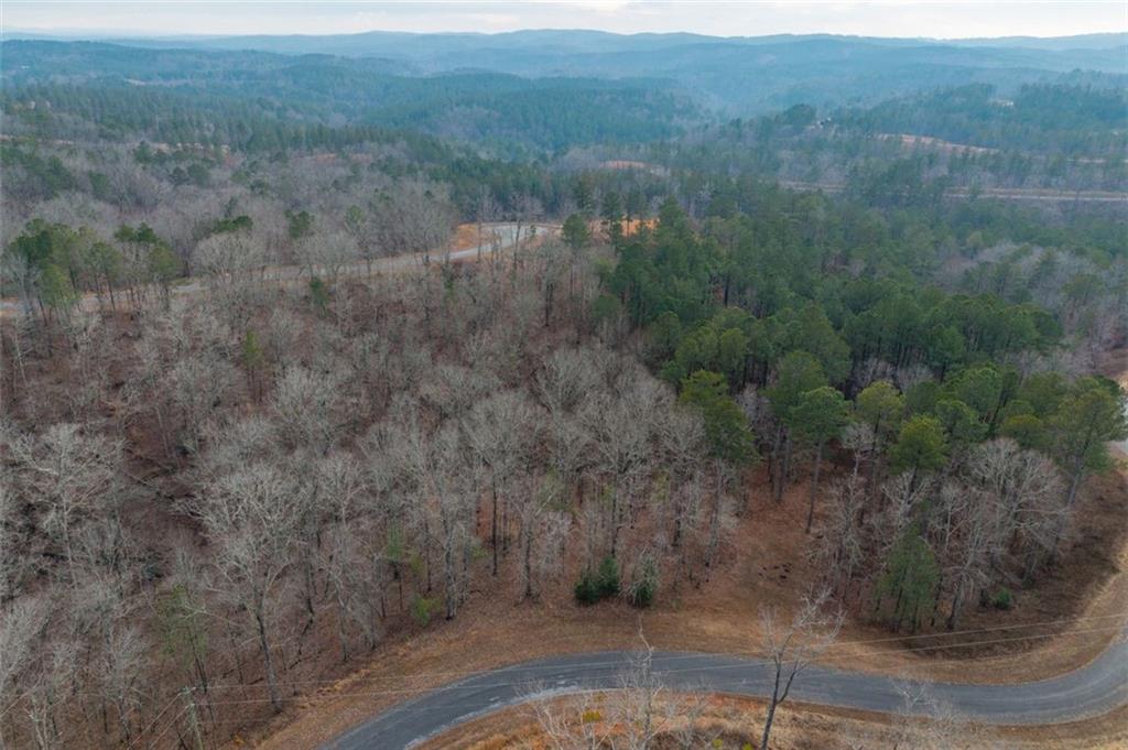 0 Freestone Street Talking Rock, GA 30175 - Photo 11 of 15 a view of a dry yard