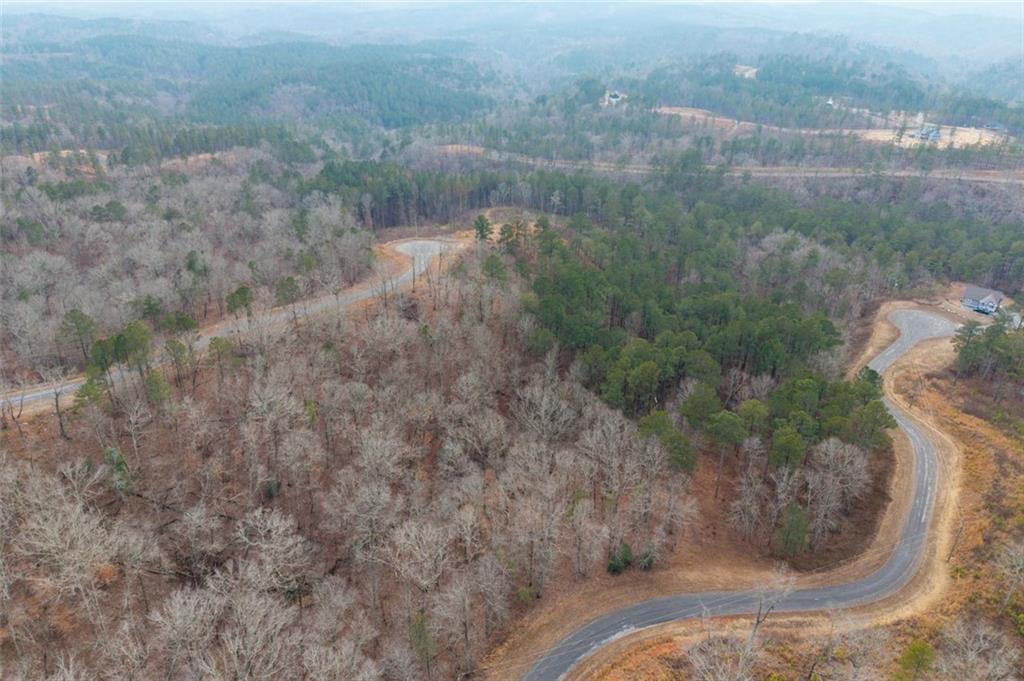 0 Freestone Street Talking Rock, GA 30175 - Photo 13 of 15 a view of a yard