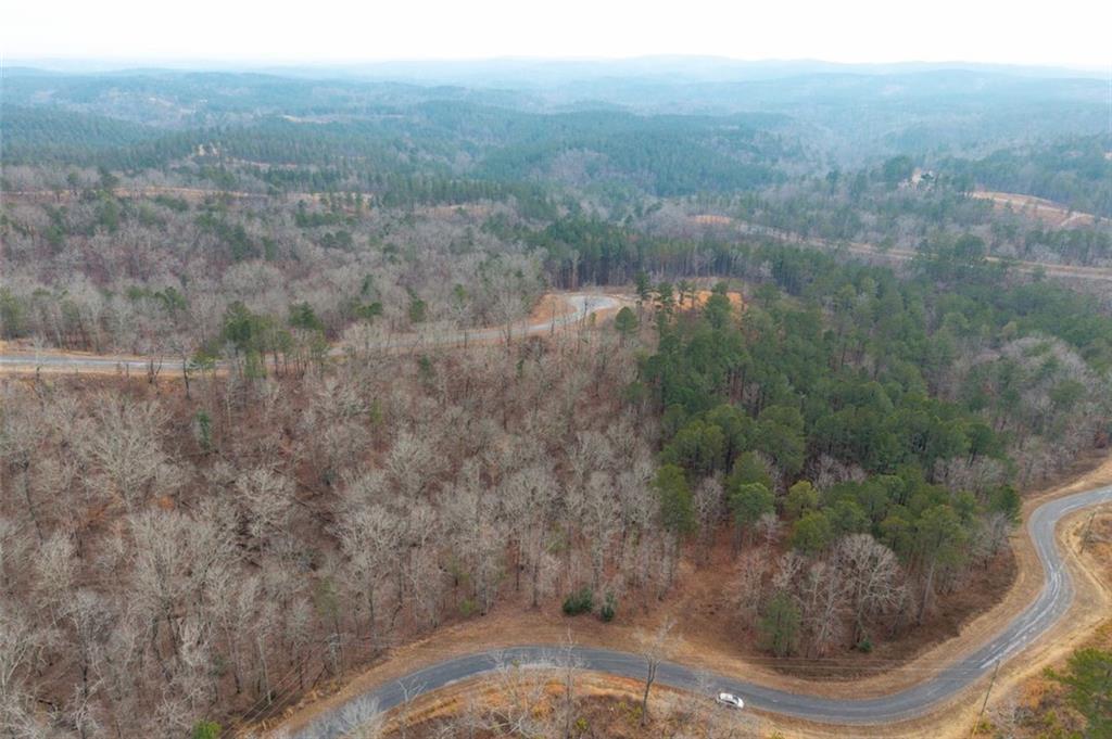 0 Freestone Street Talking Rock, GA 30175 - Photo 14 of 15 a view of a forest