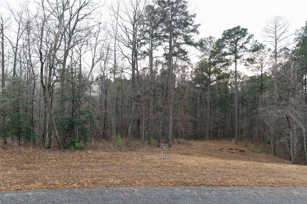 0 Freestone Street Talking Rock, GA 30175 - Photo 15 of 15 a view of a forest