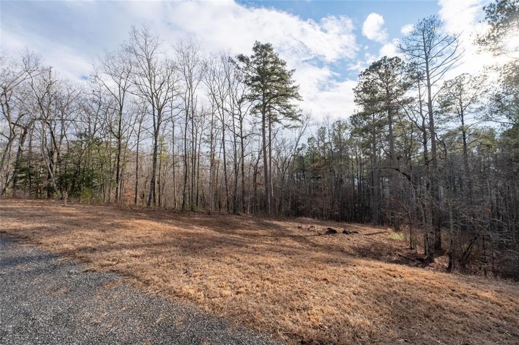 0 Freestone Street Talking Rock, GA 30175 - Photo 2 of 15 a view of outdoor space with trees
