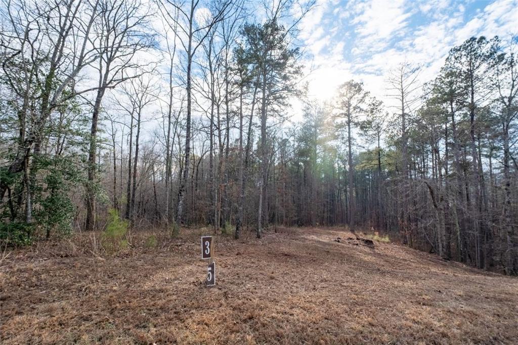 0 Freestone Street Talking Rock, GA 30175 - Photo 3 of 15 a view of backyard with trees