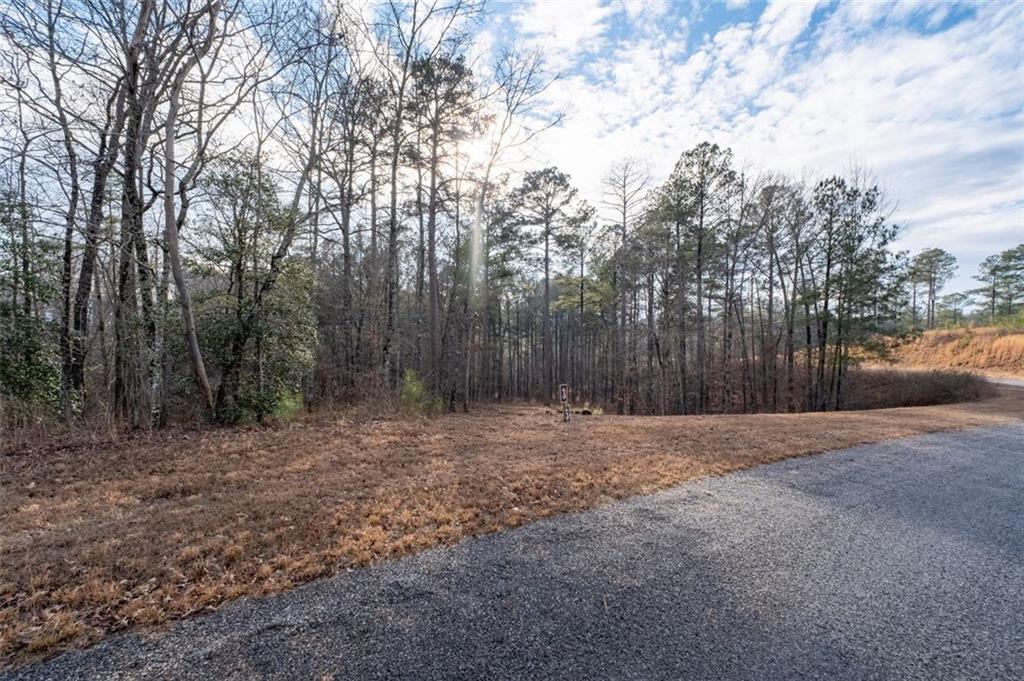 0 Freestone Street Talking Rock, GA 30175 - Photo 4 of 15 a backyard of a house with lots of green space