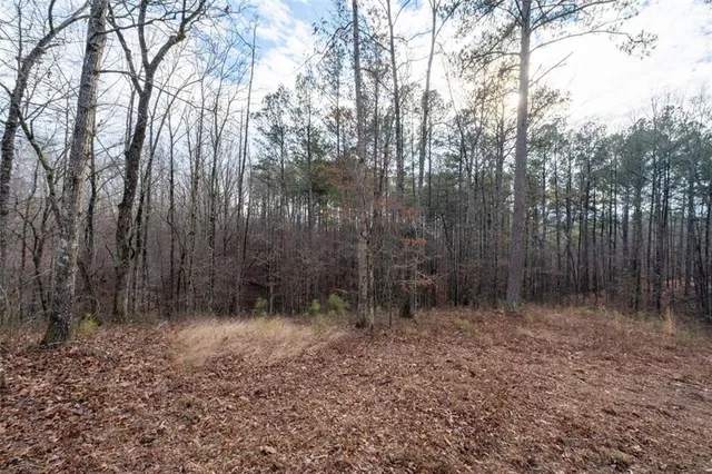 a view of outdoor space with trees