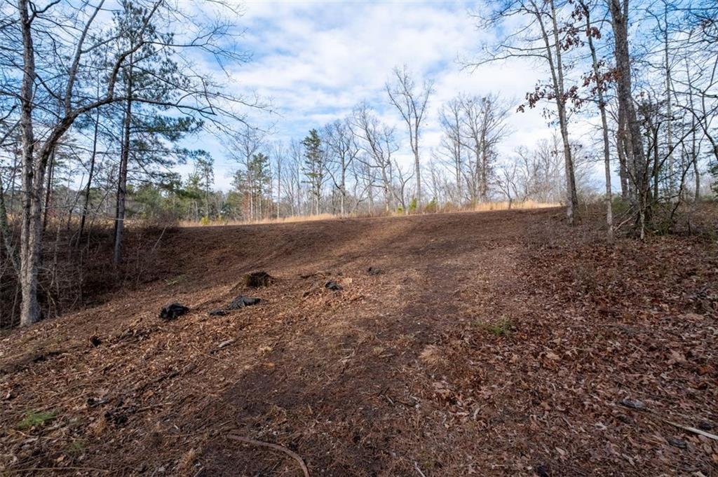 0 Freestone Street Talking Rock, GA 30175 - Photo 7 of 15 a view of a forest with trees