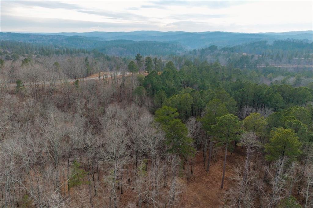 0 Freestone Street Talking Rock, GA 30175 - Photo 8 of 15 a view of a lush green forest with lush green forest