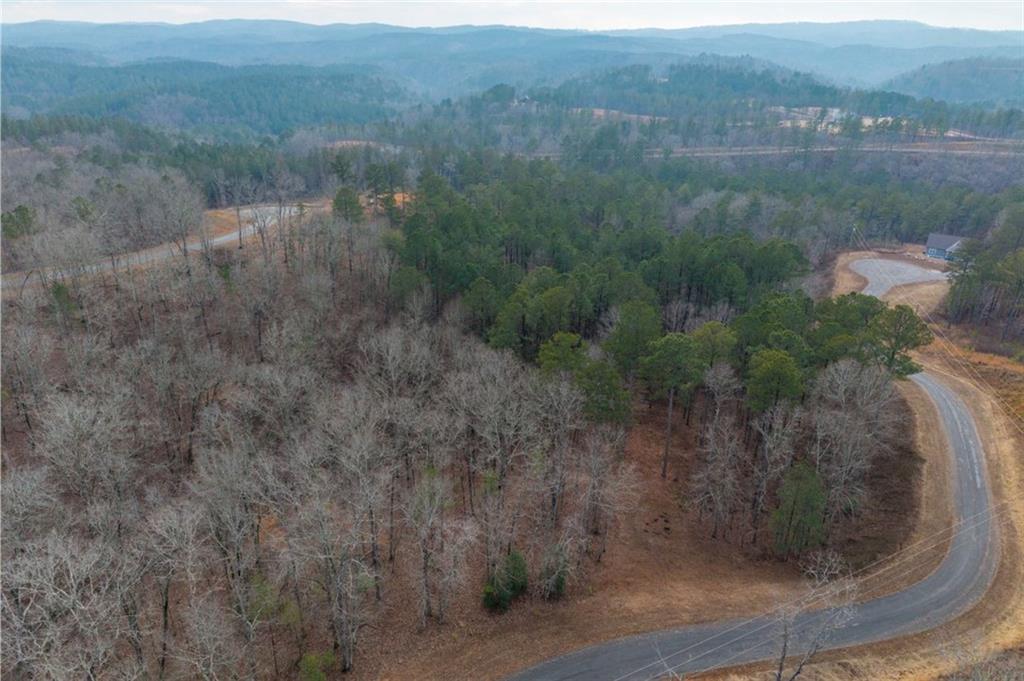 0 Freestone Street Talking Rock, GA 30175 - Photo 10 of 15 a view of a dry yard
